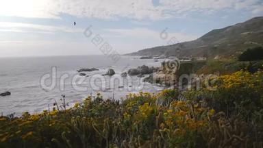 在美丽的加州大苏尔海洋海岸线上，摄像机在令人惊叹的海滩岩石和花朵上的视点上滑动。